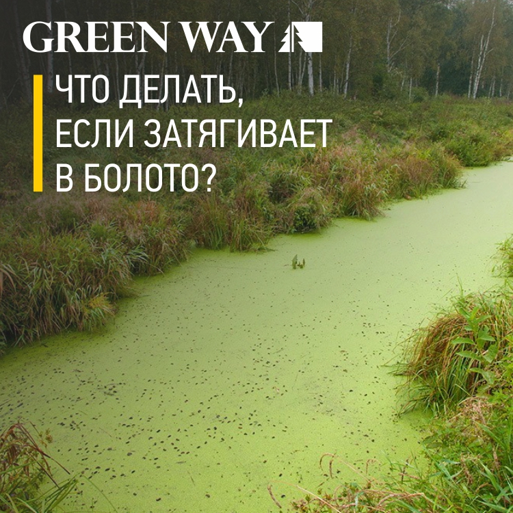 Что_делать,_если_затягивает_в_болото_СС.jpg
