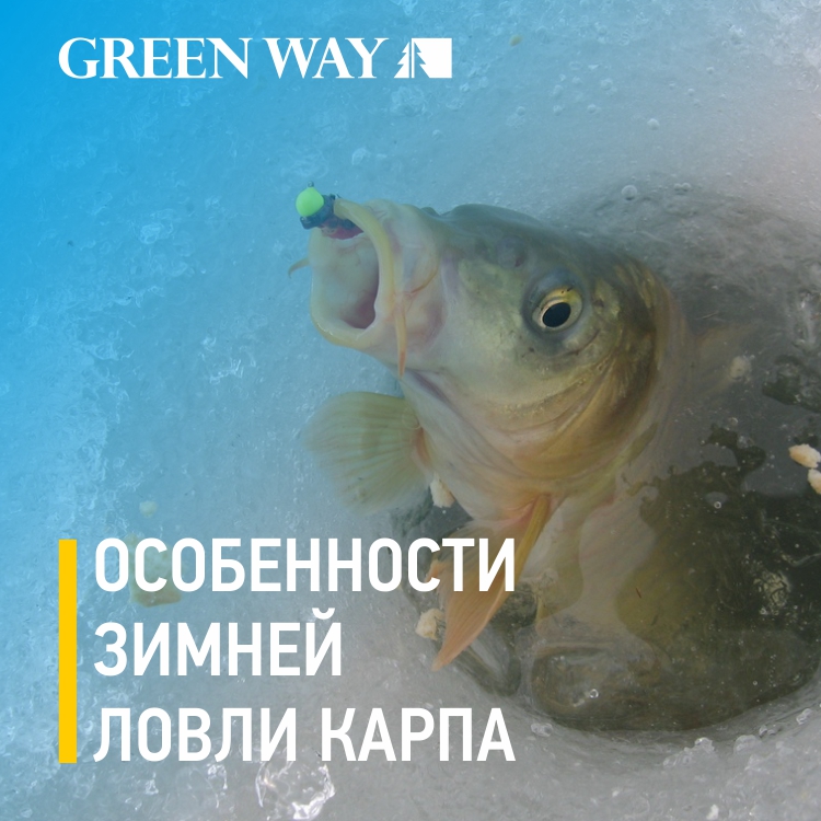 Зимняя_ловля_карпа_СС_ИМ.jpg