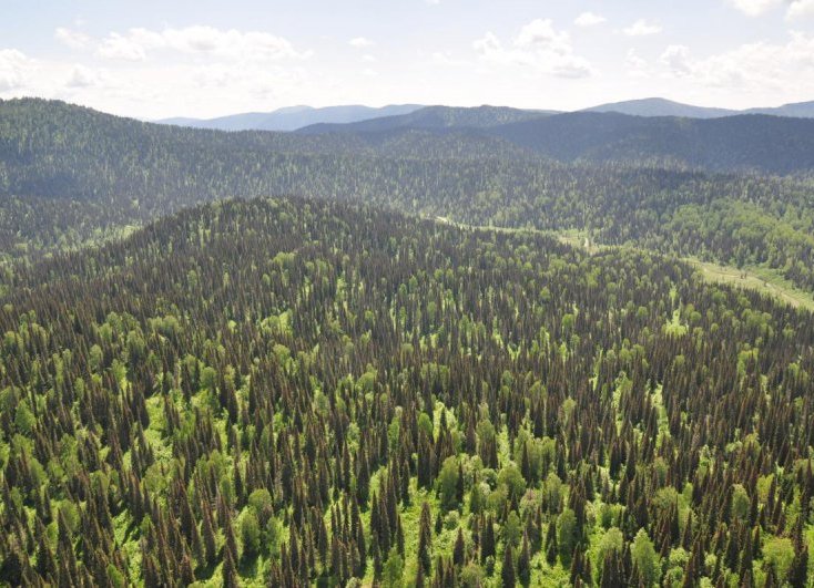 С палаткой по Казахстану зайлийское алатау 6.jpg