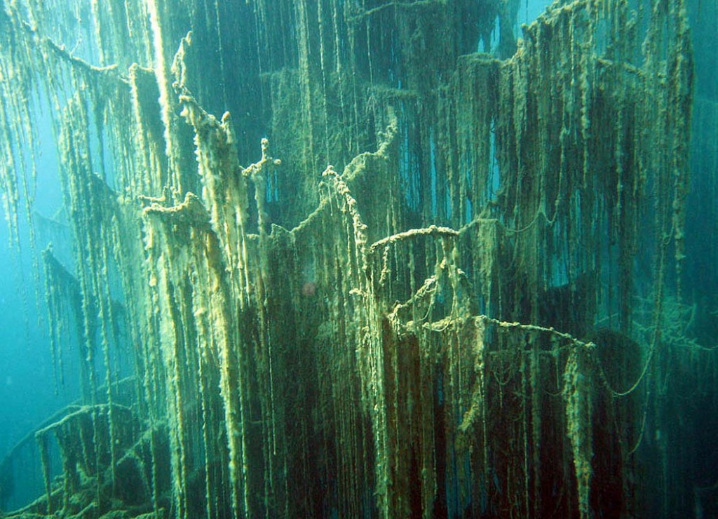 Озеро Каинды 2.jpg