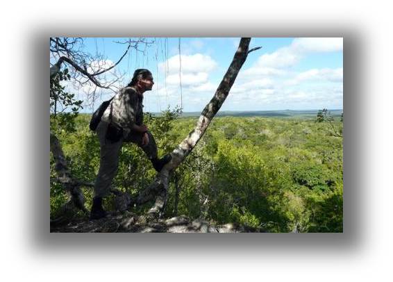 Обувь Бутекс