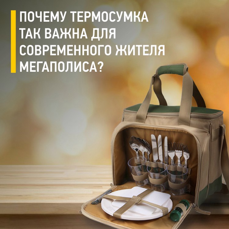Почему термосумка так важна для современного жителя мегаполиса.jpg