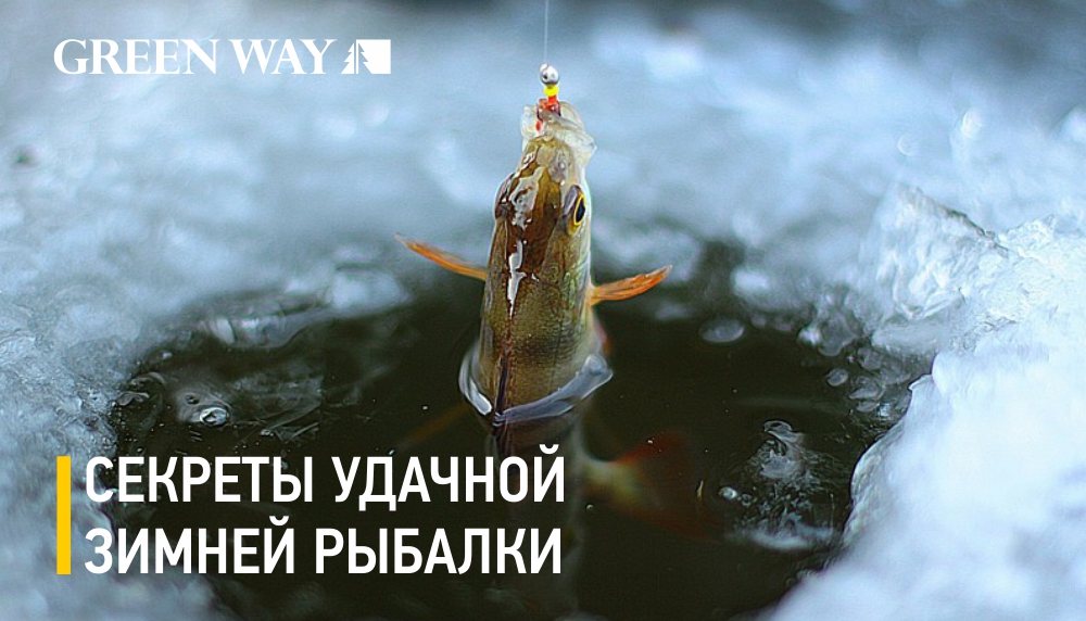 секрет удачной зимней рыбалки.jpg секрет удачной зимней рыбалки.jpg