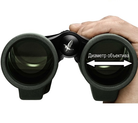 binoculars_objektive-diametr(1).jpg binoculars_objektive-diametr(1).jpg