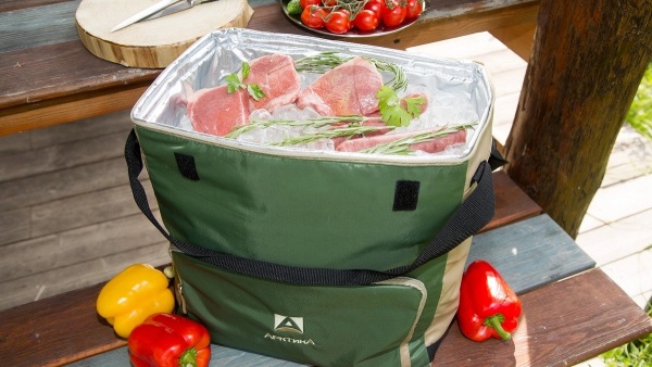 Сумка-холодильник классическая 20л sumka_kholodilnik_klassicheskaya_tm_arktika_20l_art_3000_20_bolotnaya