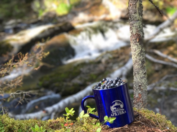 termokruzhka_nevakkumnaya_tm_arktika_300ml_art_802_300_sinyaya