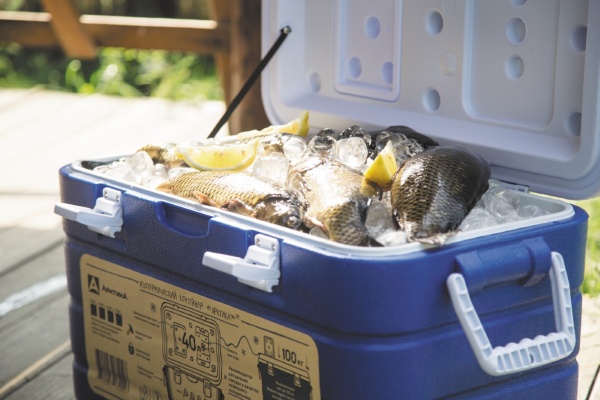 Изотермический контейнер 40 литров izotermicheskiy_konteyner_tm_arktika_40l_art_2000_40_siniy