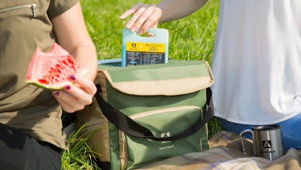 Сумка-холодильник классическая 20л sumka_kholodilnik_klassicheskaya_tm_arktika_20l_art_3000_20_bolotnaya