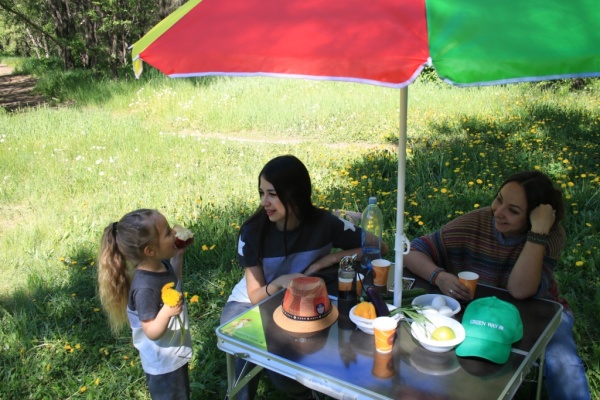 stol_raskladnoy_86x81x69sm_4_tabureta_25kh29kh39sm_tsvet_kholodnyy_venge