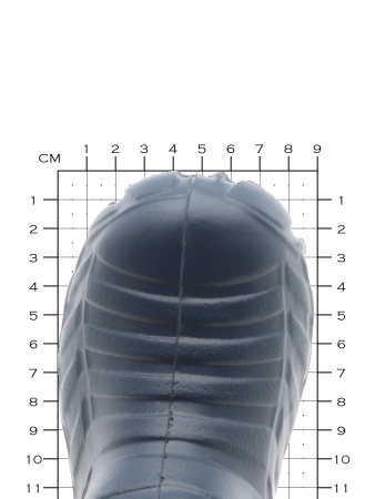 Сапожки детские из полимерного материала Сапожки детские из полимерного материала