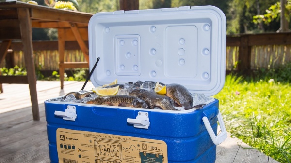 Изотермический контейнер  60 л izotermicheskiy_konteyner_tm_arktika_60_l_art_2000_60_zelyenyy