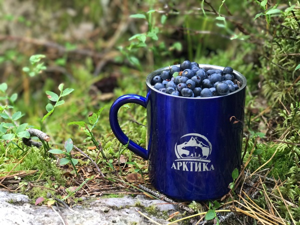 termokruzhka_nevakkumnaya_tm_arktika_300ml_art_802_300_sinyaya