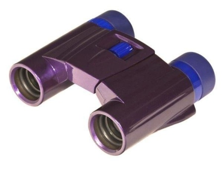 Бинокль KENKO ULTRA VIEW 8x21 DH Purple