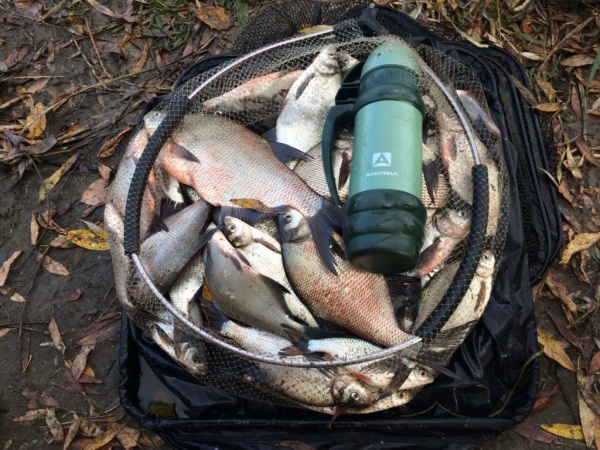 Термос "Шторм" 1 л  termos_bytovoy_vakuumnyy_dlya_napitkov_tm_arktika_1000ml_art_109_1000m_zelenyy