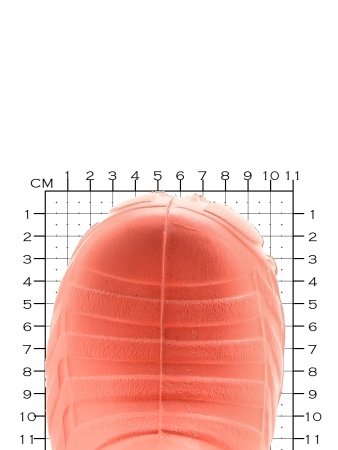 Сапожки детские из полимерного материала Сапожки детские из полимерного материала