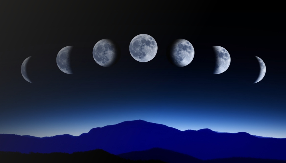 Природные компасы (4).jpg Природные компасы (4).jpg