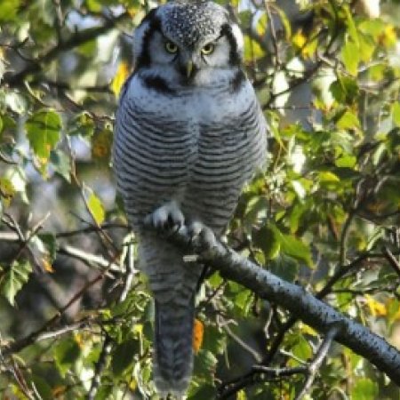 Алматинский природный парк 5.jpg Алматинский природный парк 5.jpg