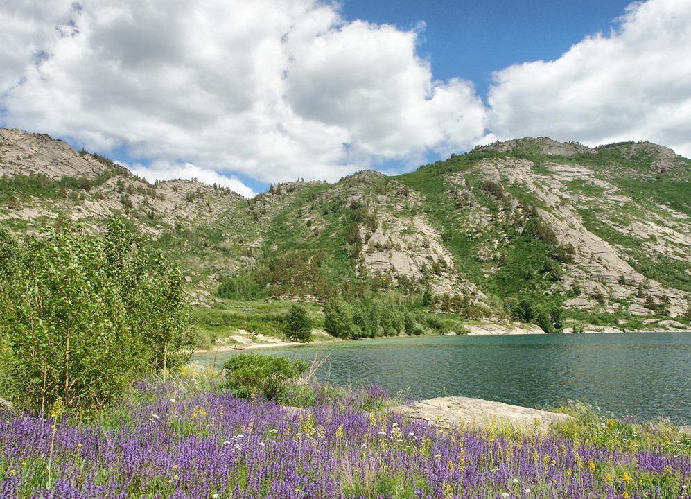 Синегогрская пихтовая роща 3.jpg Синегогрская пихтовая роща 3.jpg