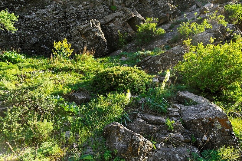 Талдыбулак 4.jpg Талдыбулак 4.jpg