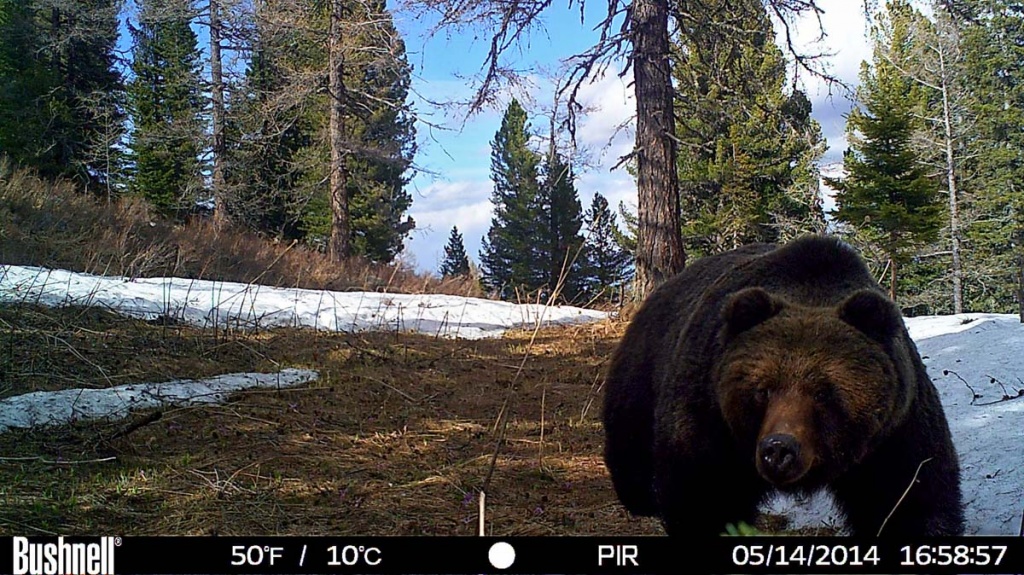 Забавные животные 1.jpg Забавные животные 1.jpg