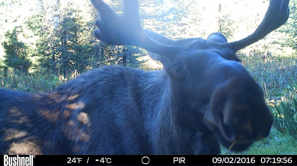 Забавные животные 6.jpg Забавные животные 6.jpg