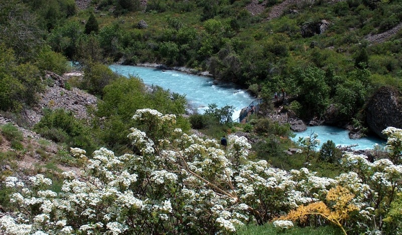Реки Аксу Жабаглинского заповедника 3.jpg Реки Аксу Жабаглинского заповедника 3.jpg