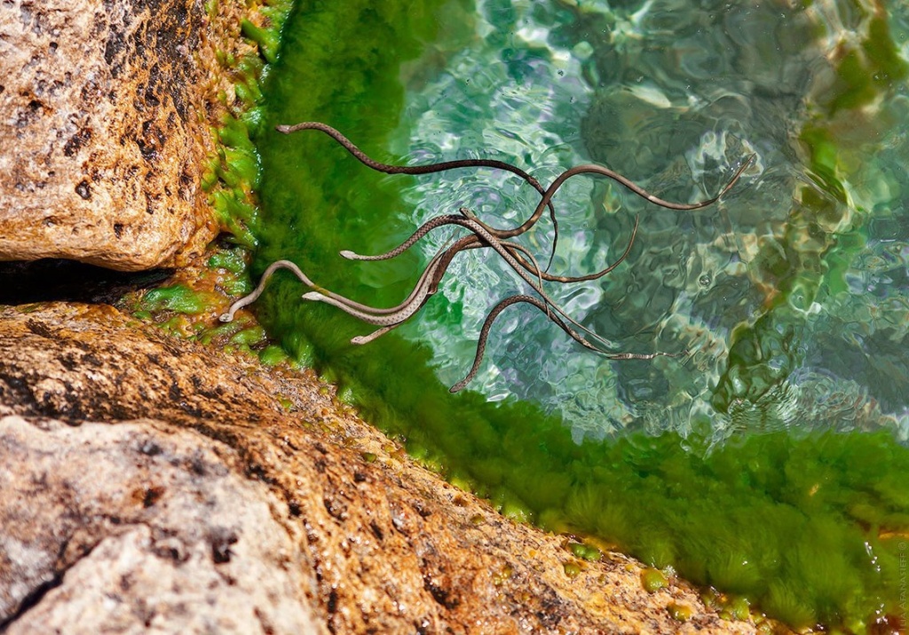 Каспийское море. Голубая бухта 1.jpg Каспийское море. Голубая бухта 1.jpg