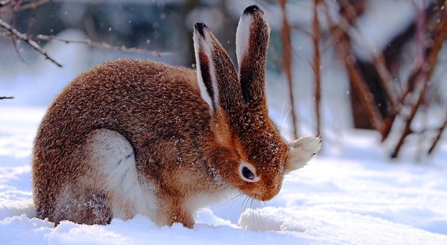 Алматинский природный парк 8.jpg Алматинский природный парк 8.jpg