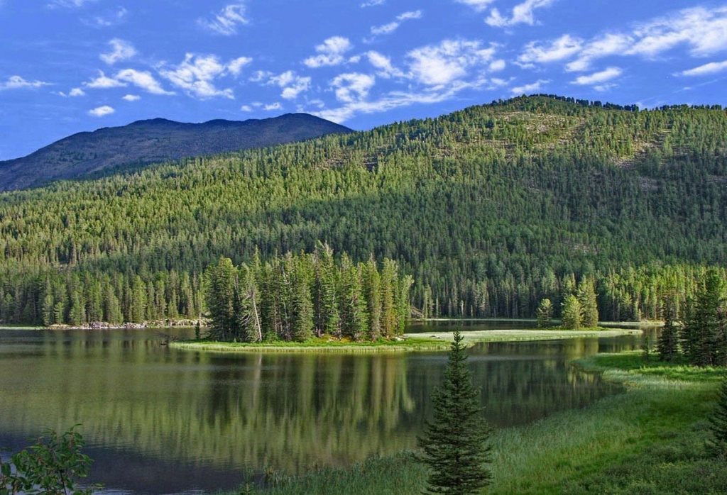 Катон Карагайский природный парк 1.jpg Катон Карагайский природный парк 1.jpg