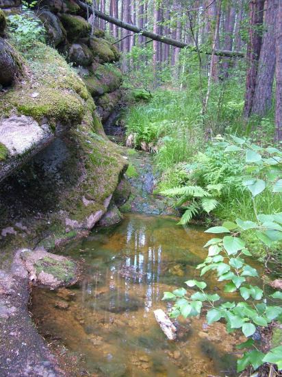 Уникальный Казахстан Природный парк Кокшетау 1.jpg Уникальный Казахстан Природный парк Кокшетау 1.jpg