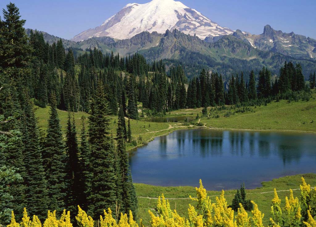 Катон Карагайский природный парк.jpg Катон Карагайский природный парк.jpg