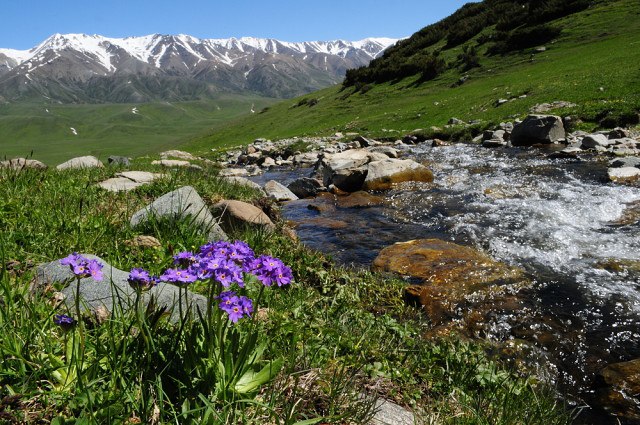 Уникальный Казахстан. Природа Восточного Казахстана 3.jpg Уникальный Казахстан. Природа Восточного Казахстана 3.jpg