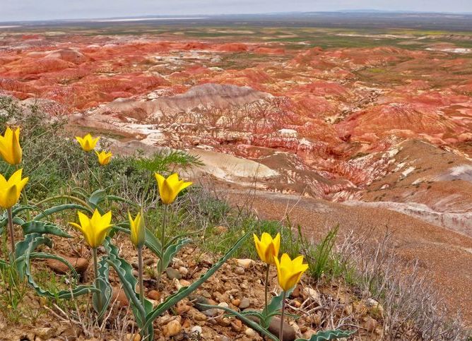 Киин-Кериш. Кусочек Марса на Земле. 2.jpg Киин-Кериш. Кусочек Марса на Земле. 2.jpg