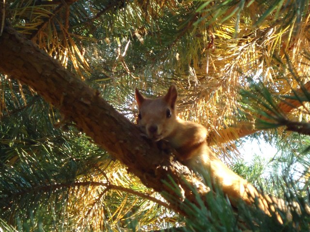 С палаткой по Казахстану Каркаралинск 3.jpg С палаткой по Казахстану Каркаралинск 3.jpg