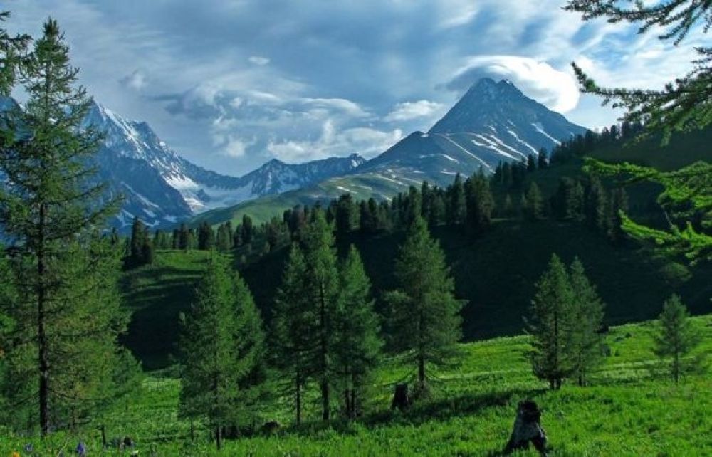 Катон Карагайский природный парк 4.jpg Катон Карагайский природный парк 4.jpg