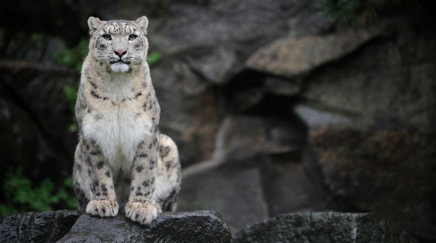 Курчумский хребет уникальный Казахстан 2.jpg Курчумский хребет уникальный Казахстан 2.jpg