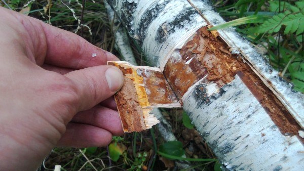 Несколько хитростей от прометея часть 1 3.jpg Несколько хитростей от прометея часть 1 3.jpg